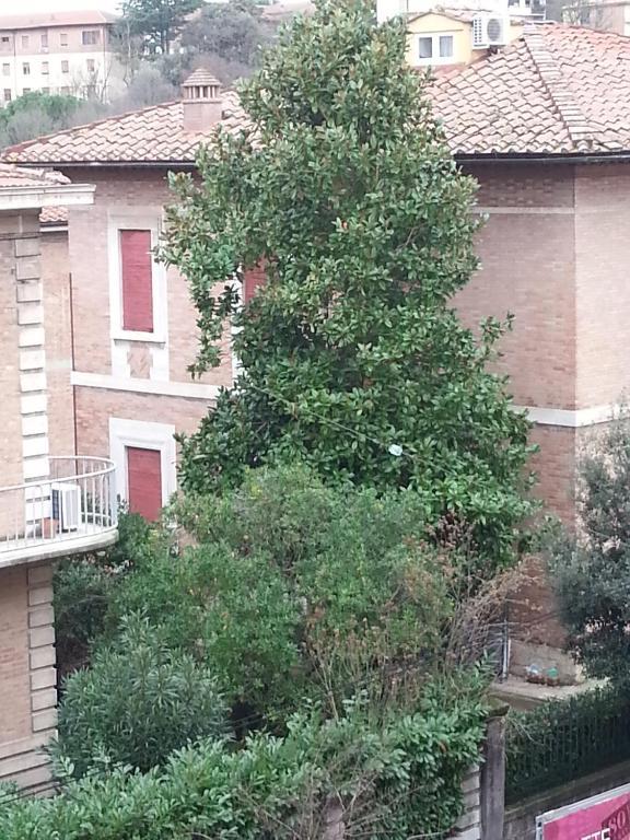 Soggiorno Iris Ξενοδοχείο Σιένα Εξωτερικό φωτογραφία